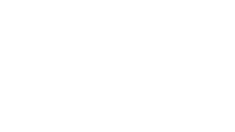 aig-logo